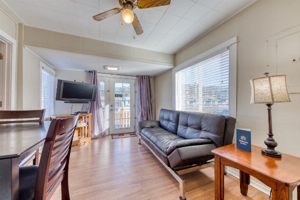 Starfish 1 Main image